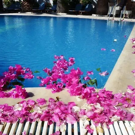 Atalos Kamari (Santorini)