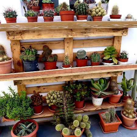 아파트호텔 아탈로스 스위트 3*