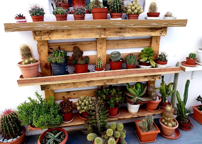 Apartahotel Atalos 3*